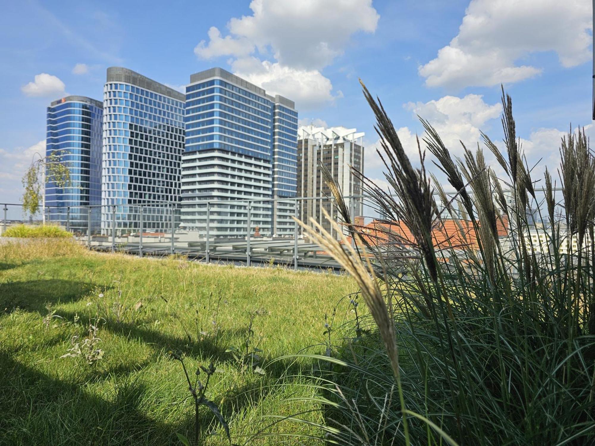 Urban Apartments Premium, Opolska 10 No 21, Free Garage, Self Check-In Катовіце Екстер'єр фото